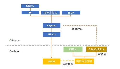 新政策趨勢(shì)下,vie架構(gòu)應(yīng)該怎么搭 怎么改 怎么變